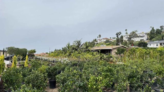 717 Ora Avo, Vista, CA 92084