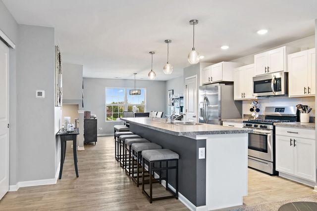 2387 Alison Avenue, Pingree Grove, IL 60140