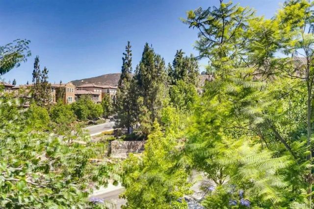 1382 Dandelion Way, San Marcos, CA 92078
