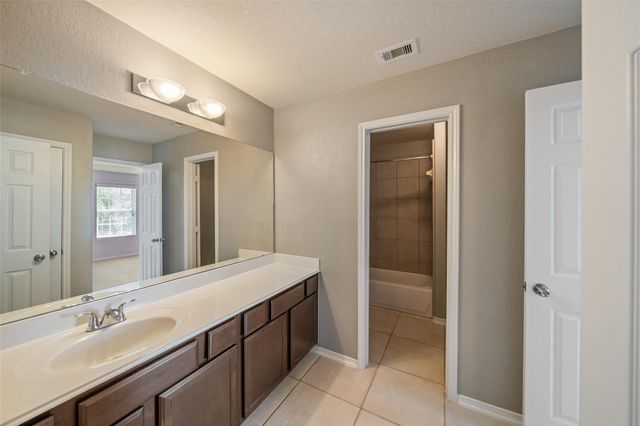 28915 Birch Green Way, Spring, TX 77386