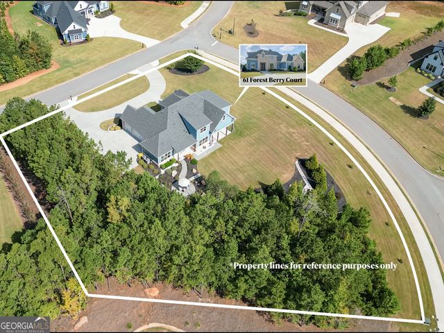 61 Forest Berry Court, Newnan, GA 30265