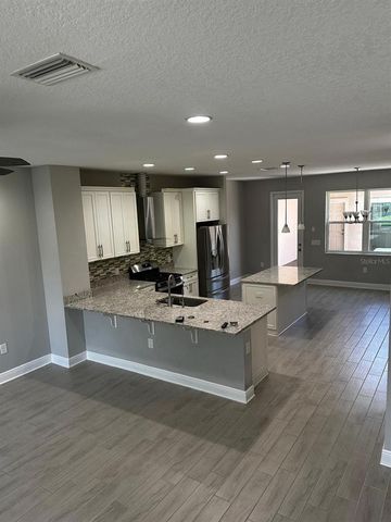 13023 BATTEN LANE, Odessa, FL 33556