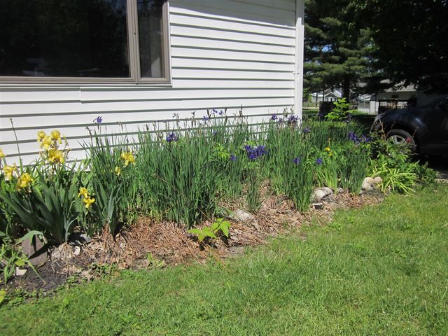 402 Alexander Street, Bangor, MI 49013