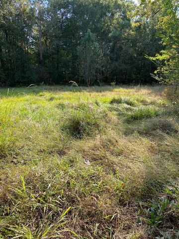 889 Rio Grande, Goodrich, TX 77351