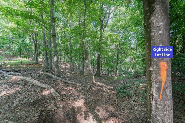 Lot 33 Windridge PKWY, Hardy, VA 24101