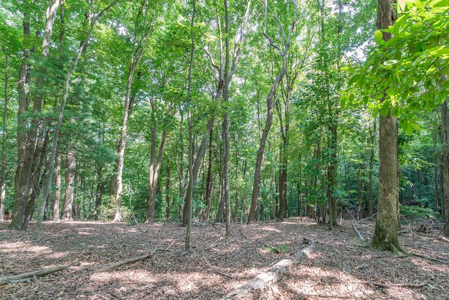 Lot 33 Windridge PKWY, Hardy, VA 24101