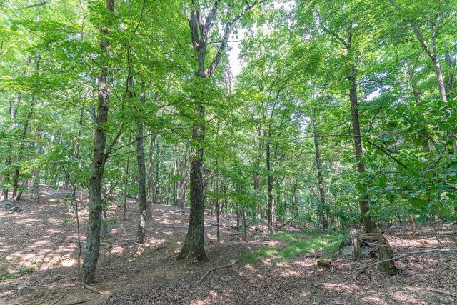 Lot 33 Windridge PKWY, Hardy, VA 24101