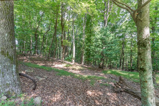 Lot 33 Windridge PKWY, Hardy, VA 24101