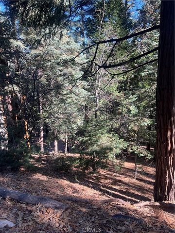 0 Forest, Twin Peaks, CA 02391