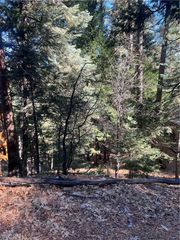 0 Forest, Twin Peaks, CA 02391