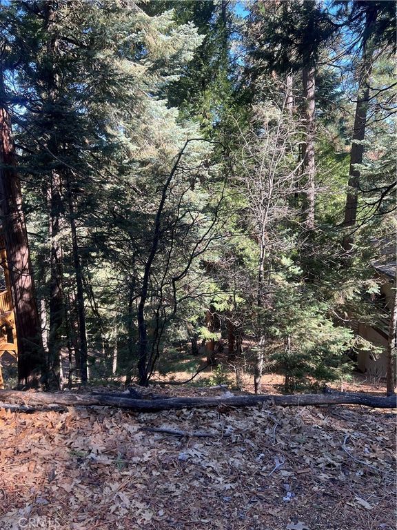 0 Forest, Twin Peaks, CA 02391