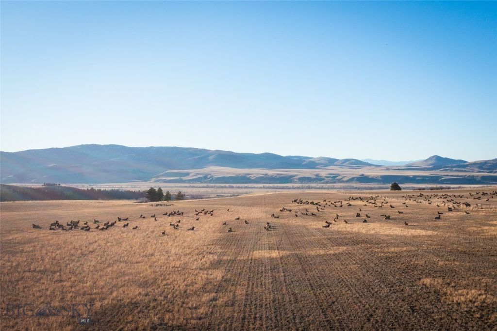 TBD S Whistleberry Road, Bozeman, MT 59718 photo 29