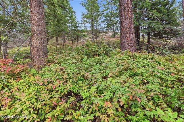 2586 E Fernan Hill RD, Coeur D'alene, ID 83814