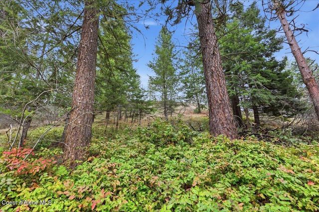 2586 E Fernan Hill RD, Coeur D'alene, ID 83814