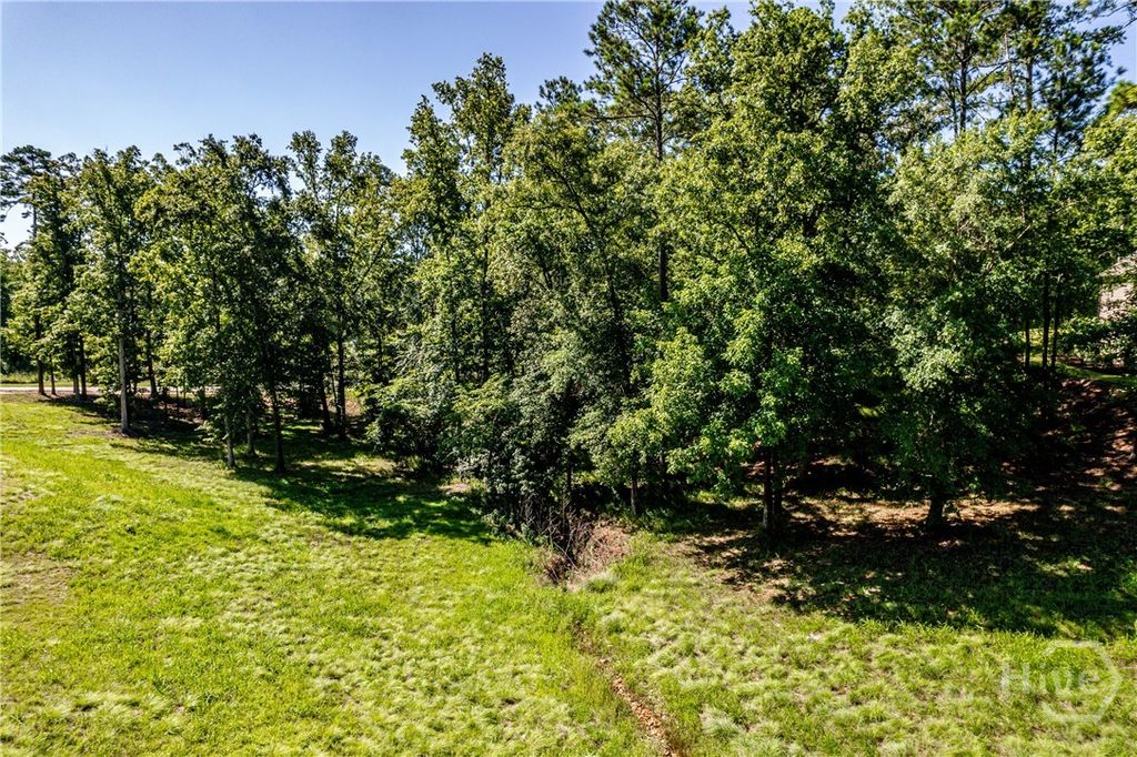 Image 16 of property listing at 2110 Sandy Ford, Greensboro, GA 30642