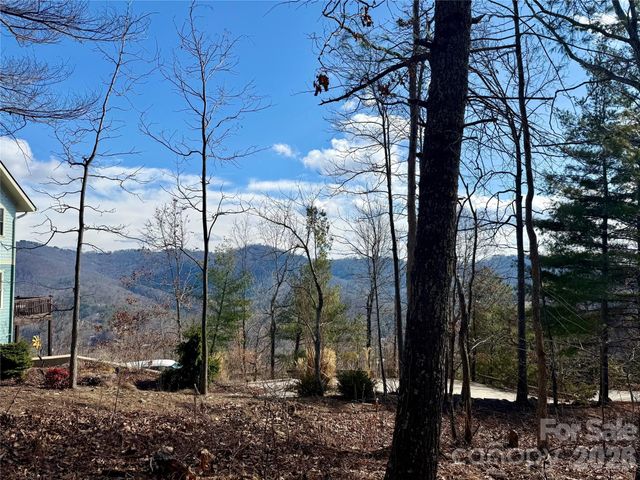 000 Rambling Ridge Road 16, Asheville, NC 28804