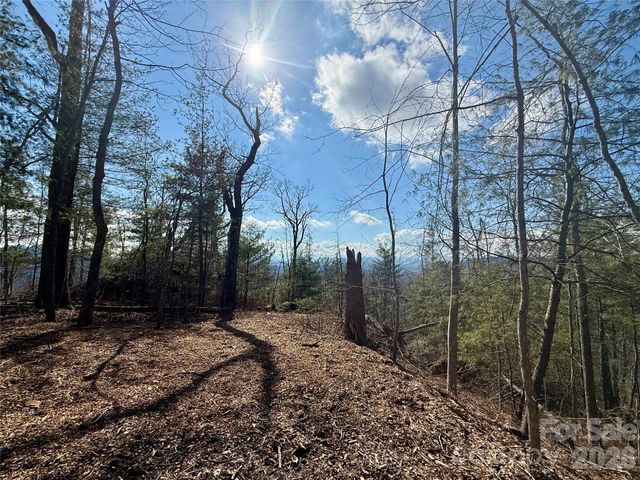 000 Rambling Ridge Road 16, Asheville, NC 28804