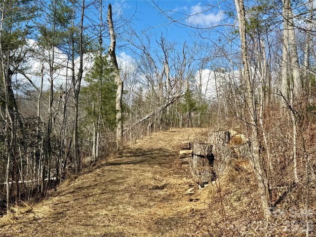 000 Rambling Ridge Road 16, Asheville, NC 28804