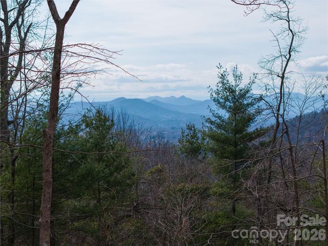 000 Rambling Ridge Road 16, Asheville, NC 28804