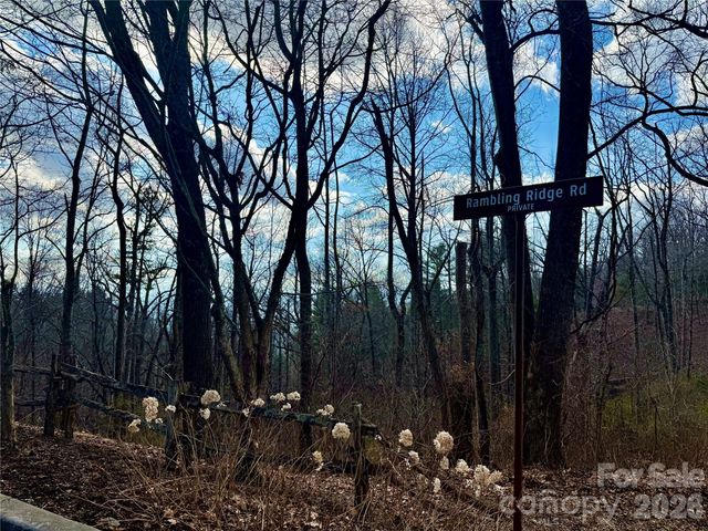 000 Rambling Ridge Road 16, Asheville, NC 28804