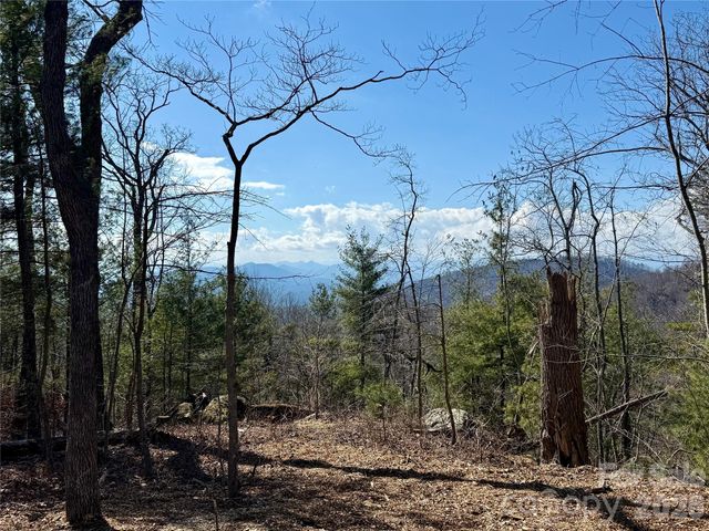 000 Rambling Ridge Road 16, Asheville, NC 28804