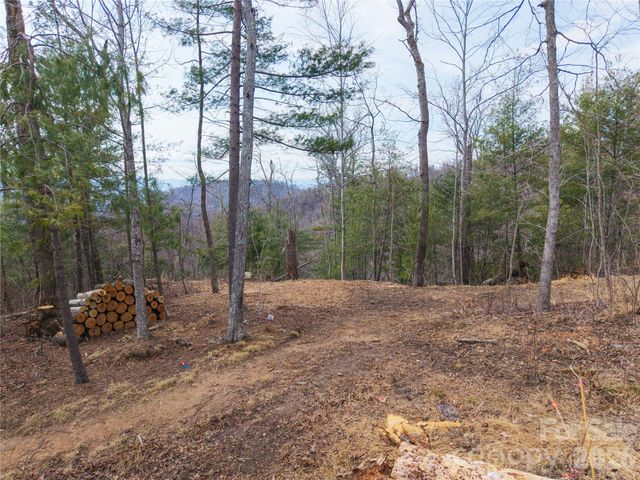 000 Rambling Ridge Road 16, Asheville, NC 28804