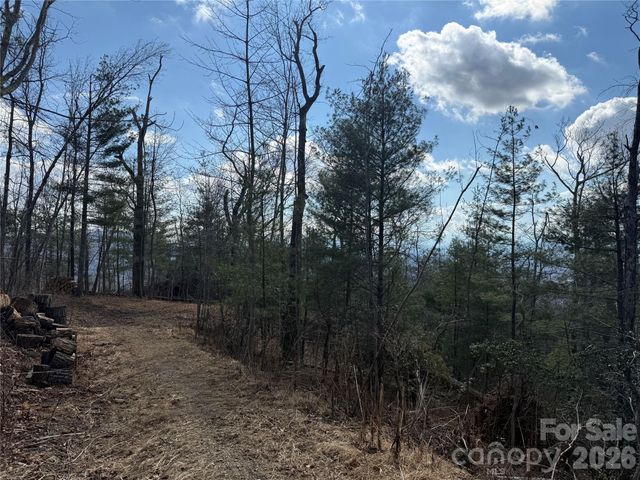 000 Rambling Ridge Road 16, Asheville, NC 28804