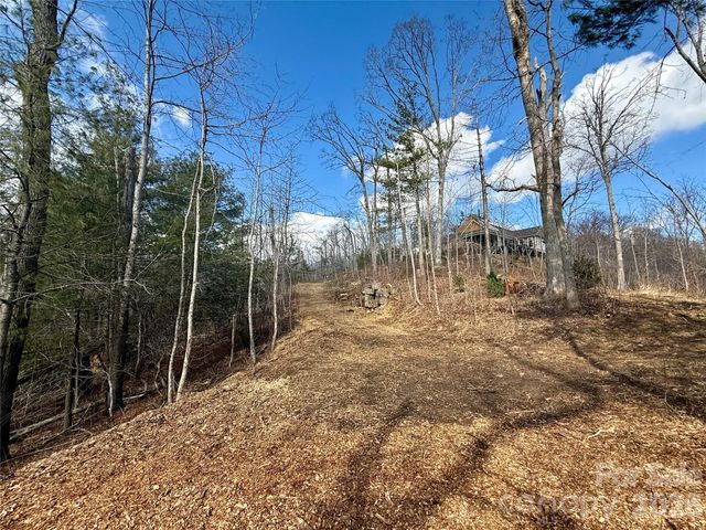 000 Rambling Ridge Road 16, Asheville, NC 28804