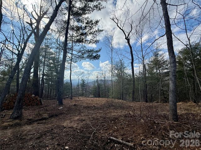 000 Rambling Ridge Road 16, Asheville, NC 28804