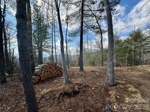 000 Rambling Ridge Road 16, Asheville, NC 28804