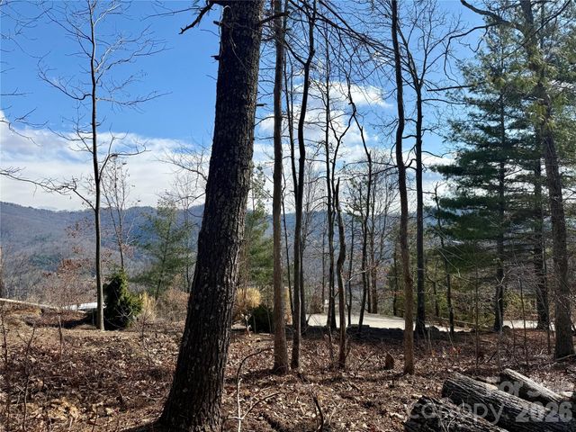 000 Rambling Ridge Road 16, Asheville, NC 28804