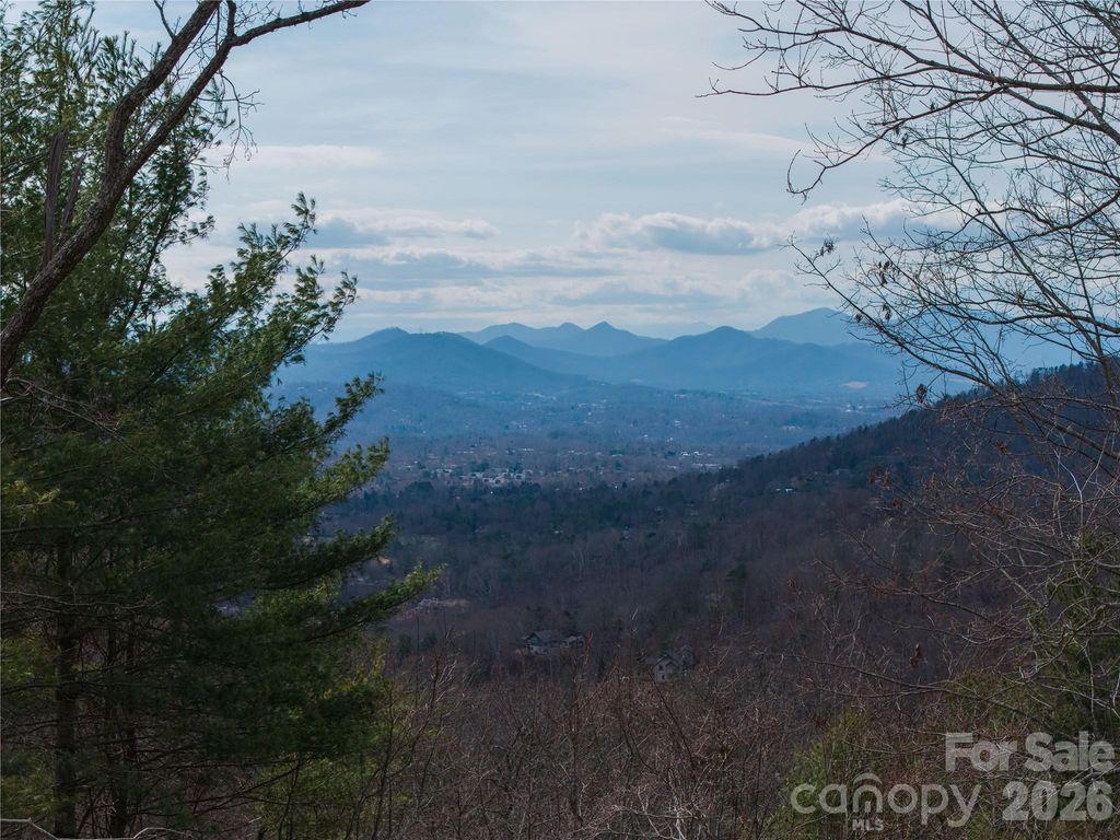 000 Rambling Ridge Road 16, Asheville, NC 28804
