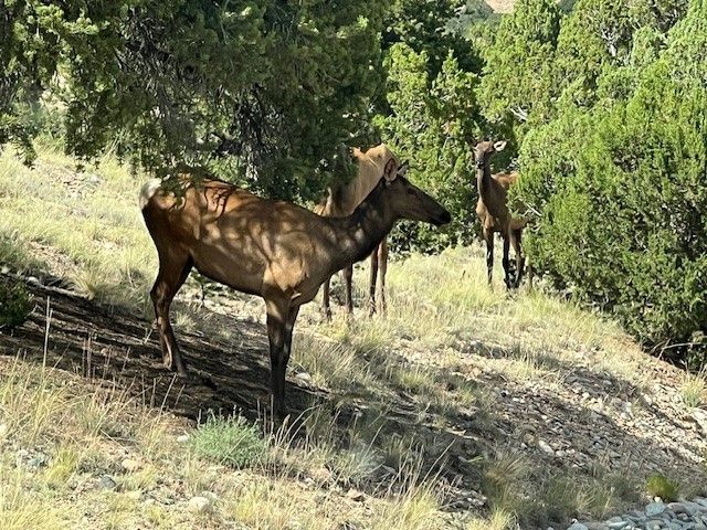 77 Headquarters Trail, Santa Fe, NM 87506