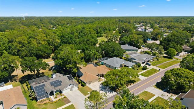 3285 TARPON WOODS BOULEVARD, Palm Harbor, FL 34685