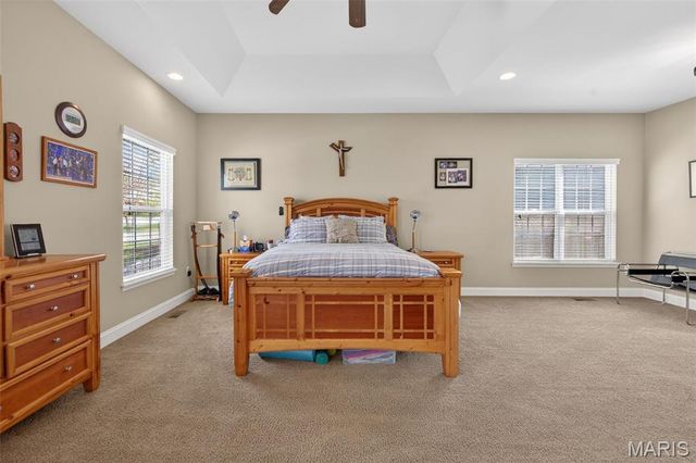 319 Magnolia Valley Drive, O'fallon, MO 63366