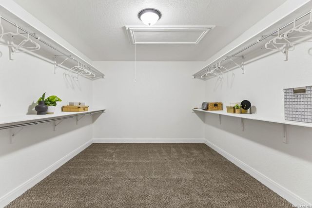 109 Rattlesnake Bluff, Boerne, TX 78006