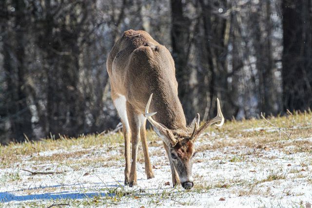 1153 Briensburg-Tatumsville Rd, Benton, KY 42025