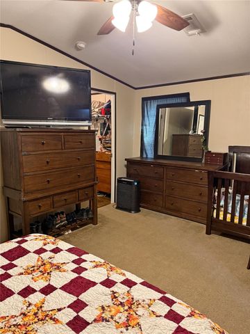 291 Leaning Oak Drive, Point Blank, TX 77364