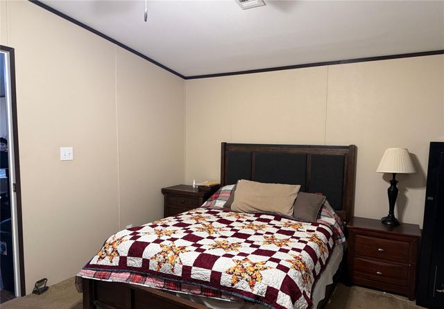 291 Leaning Oak Drive, Point Blank, TX 77364