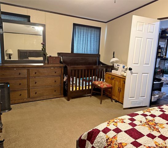 291 Leaning Oak Drive, Point Blank, TX 77364