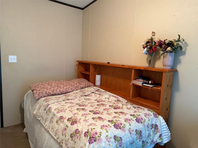 291 Leaning Oak Drive, Point Blank, TX 77364