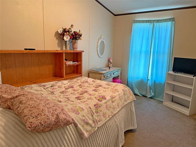 291 Leaning Oak Drive, Point Blank, TX 77364