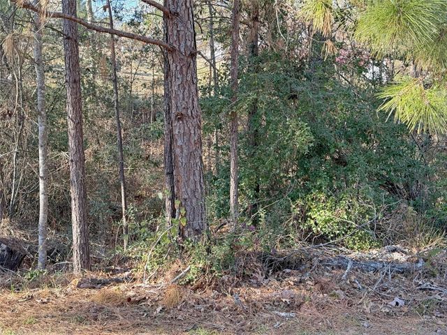 291 Leaning Oak Drive, Point Blank, TX 77364