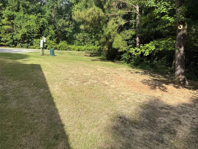 291 Leaning Oak Drive, Point Blank, TX 77364