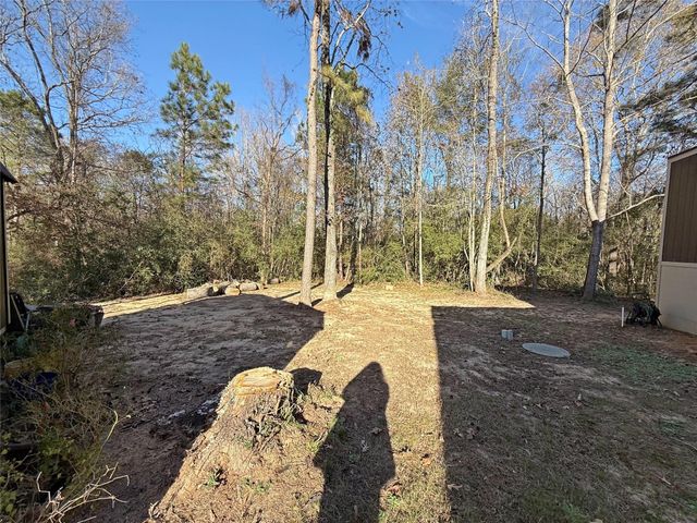 291 Leaning Oak Drive, Point Blank, TX 77364