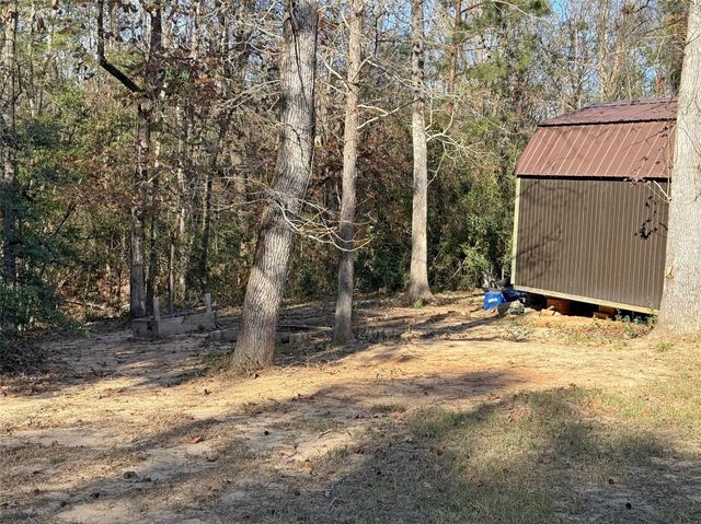 291 Leaning Oak Drive, Point Blank, TX 77364