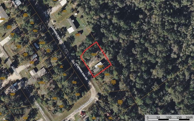 291 Leaning Oak Drive, Point Blank, TX 77364