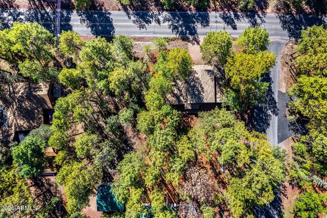 696 E Woodland Lake Road, Pinetop, AZ 85935