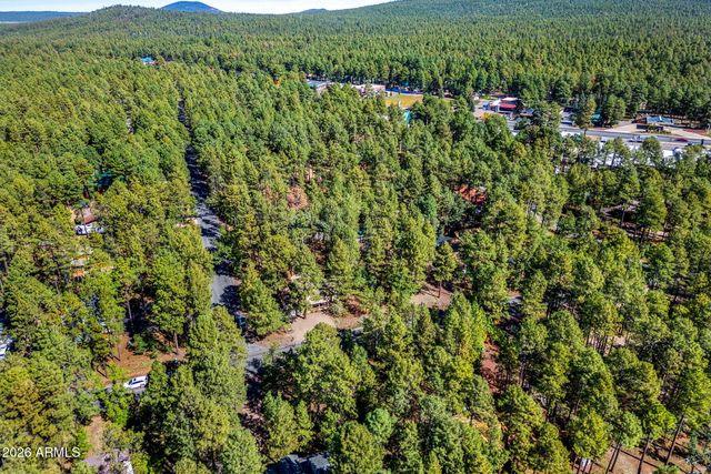 696 E Woodland Lake Road, Pinetop, AZ 85935
