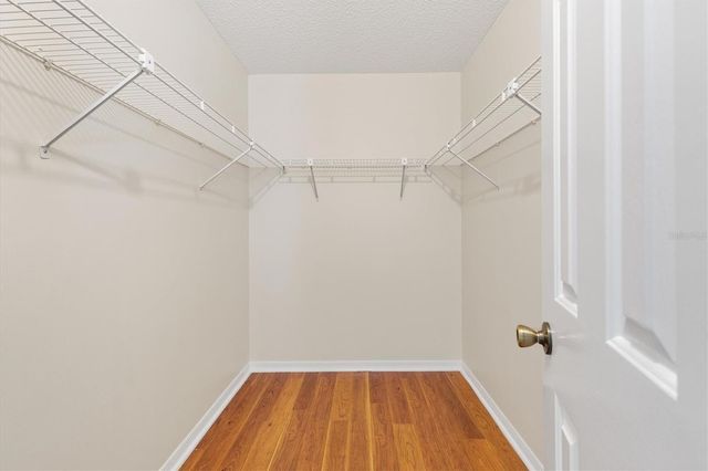 10767 SE 174TH LOOP, Summerfield, FL 34491